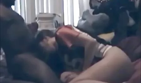 Był darmowe filmy sex xxx w sklepie