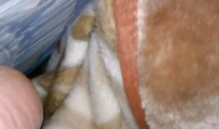Aoi Мияма pojawiają się z ostry seks filmy darmowe odwagą