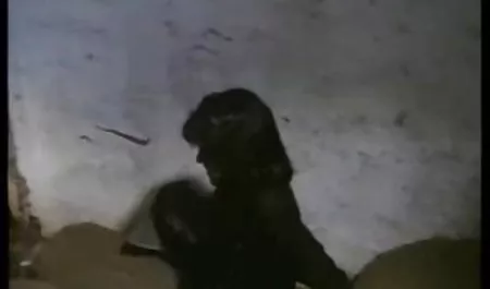 Stary brudny 2 razy w niedzielę darmowe filmy erotyczne stare babcie