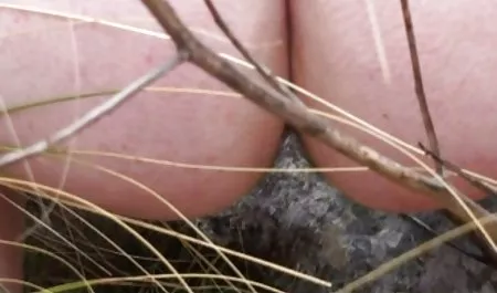 Bardzo chudy czarny sex za darmo do oglądania nastolatek bardzo chcą i całkowicie nagie ciało na kamery
