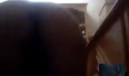 Blois ft sex darmowe filmiki erotyczne